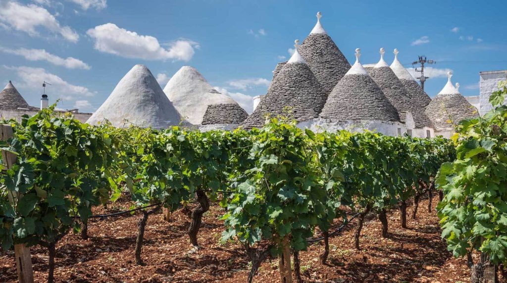 A Púglia, na Itália, é considerada uma terra de vinhos únicos e milenares.