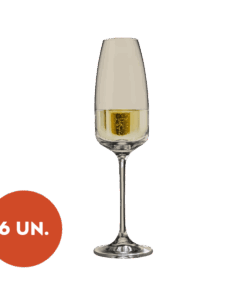 Jogo de Taça de Cristal Champagne - 290ml