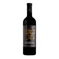 Cantina Colli Morenici Cabernet 2021