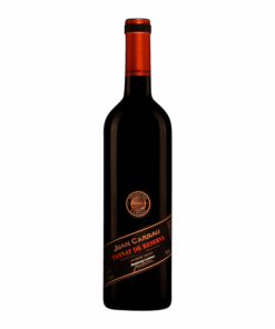 Bodegas Carrau Tannat de Reserva 2023