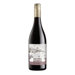 Anterra Pinot Noir 2021
