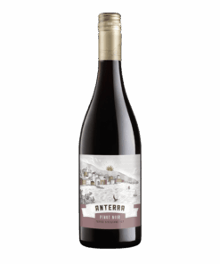 Anterra Pinot Noir 2021