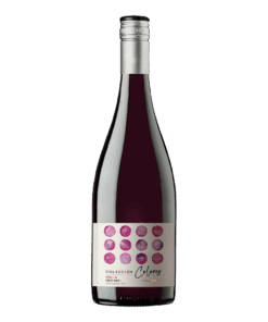Veramonte Colección Colores Reserva Pinot Noir 2022